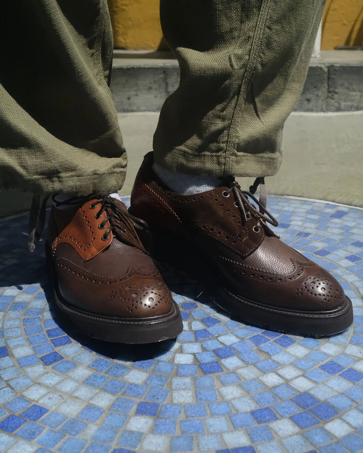 Tricker's | Nepenthes America | Nepenthes America