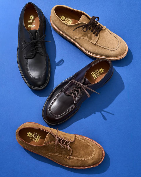 Alden | Nepenthes America | Nepenthes America