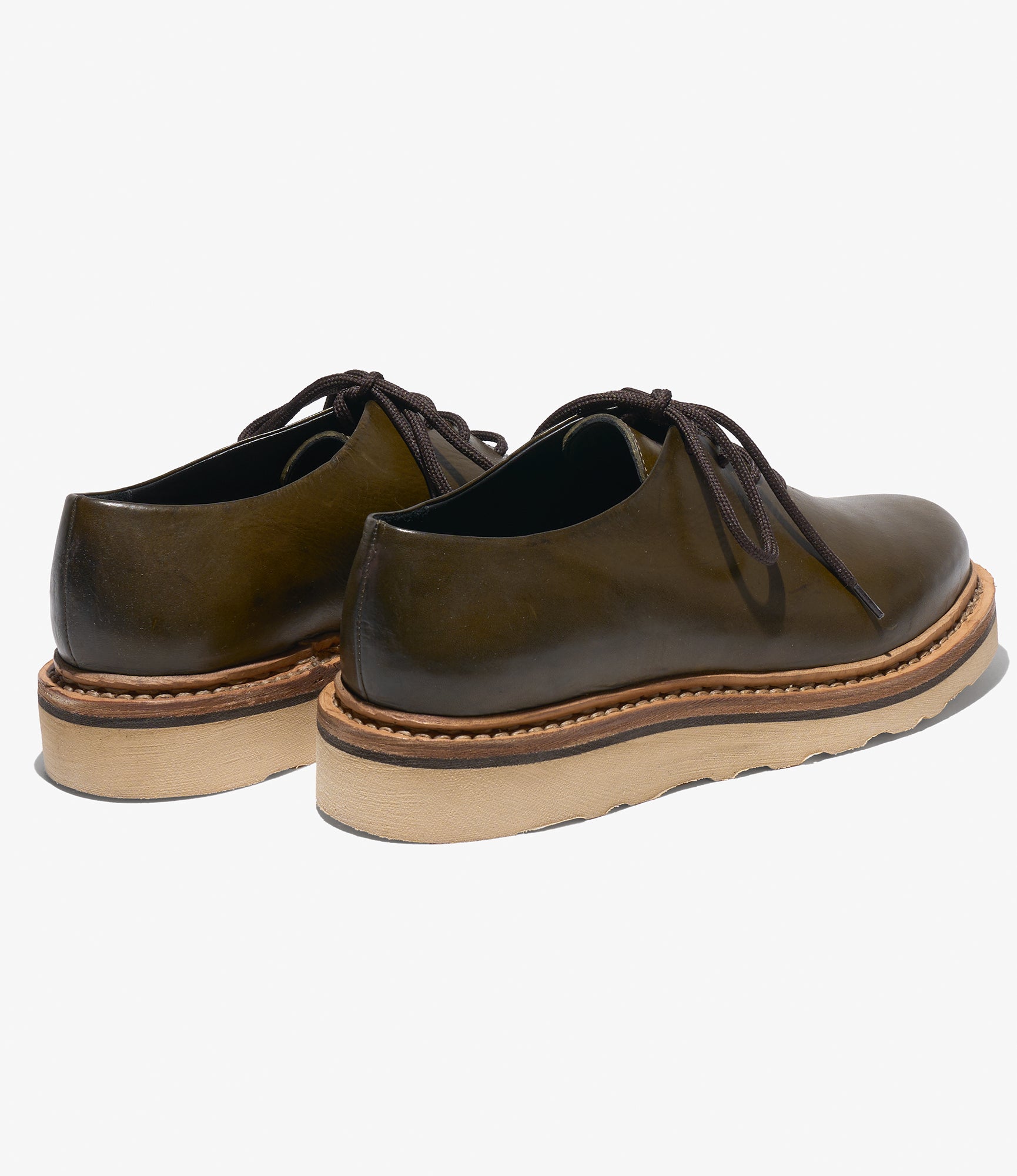 Nepenthes x Vernacolo - Canonau - Militere w/Natural Moreflex Sole