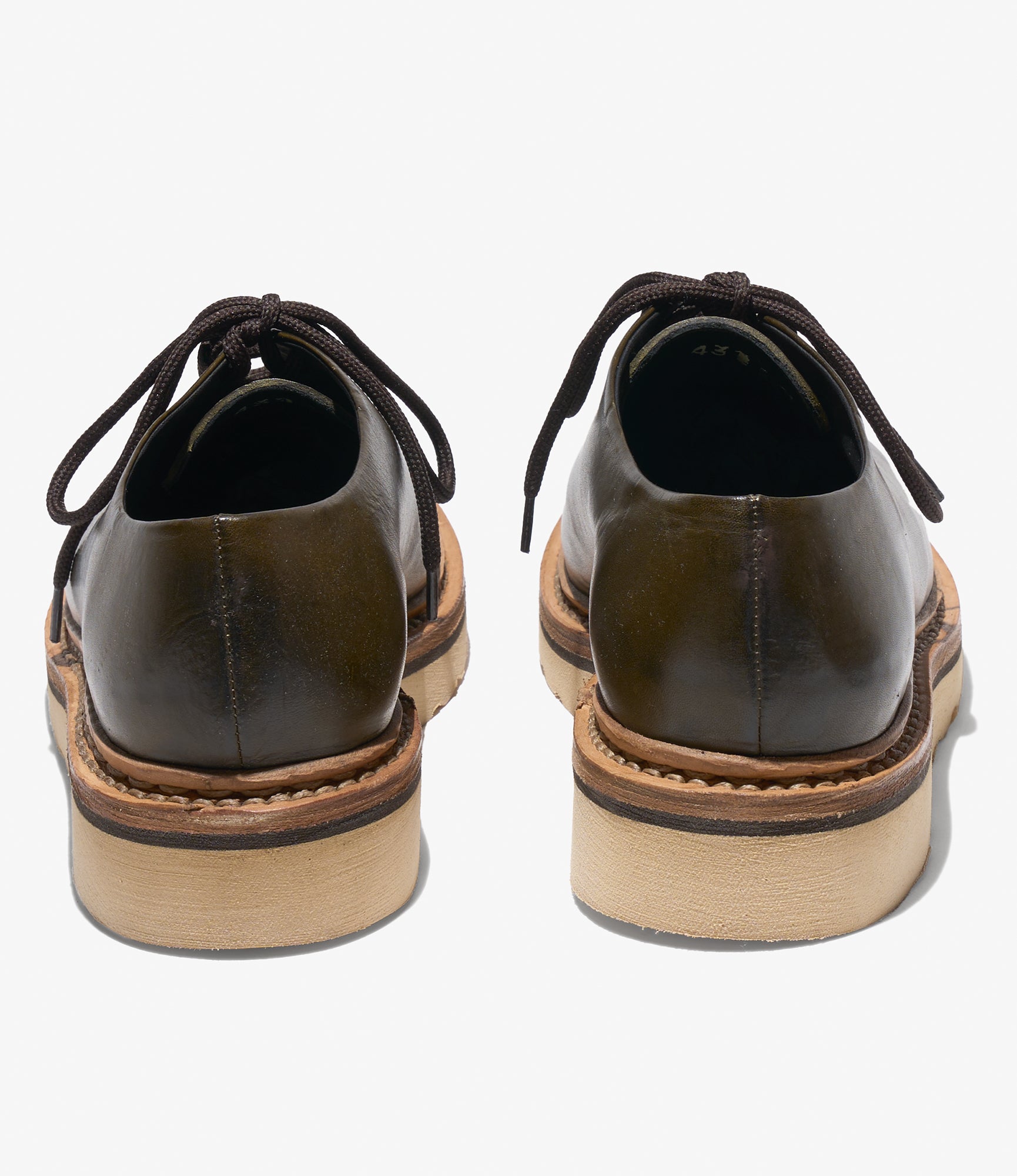 Nepenthes x Vernacolo - Canonau - Militere w/Natural Moreflex Sole