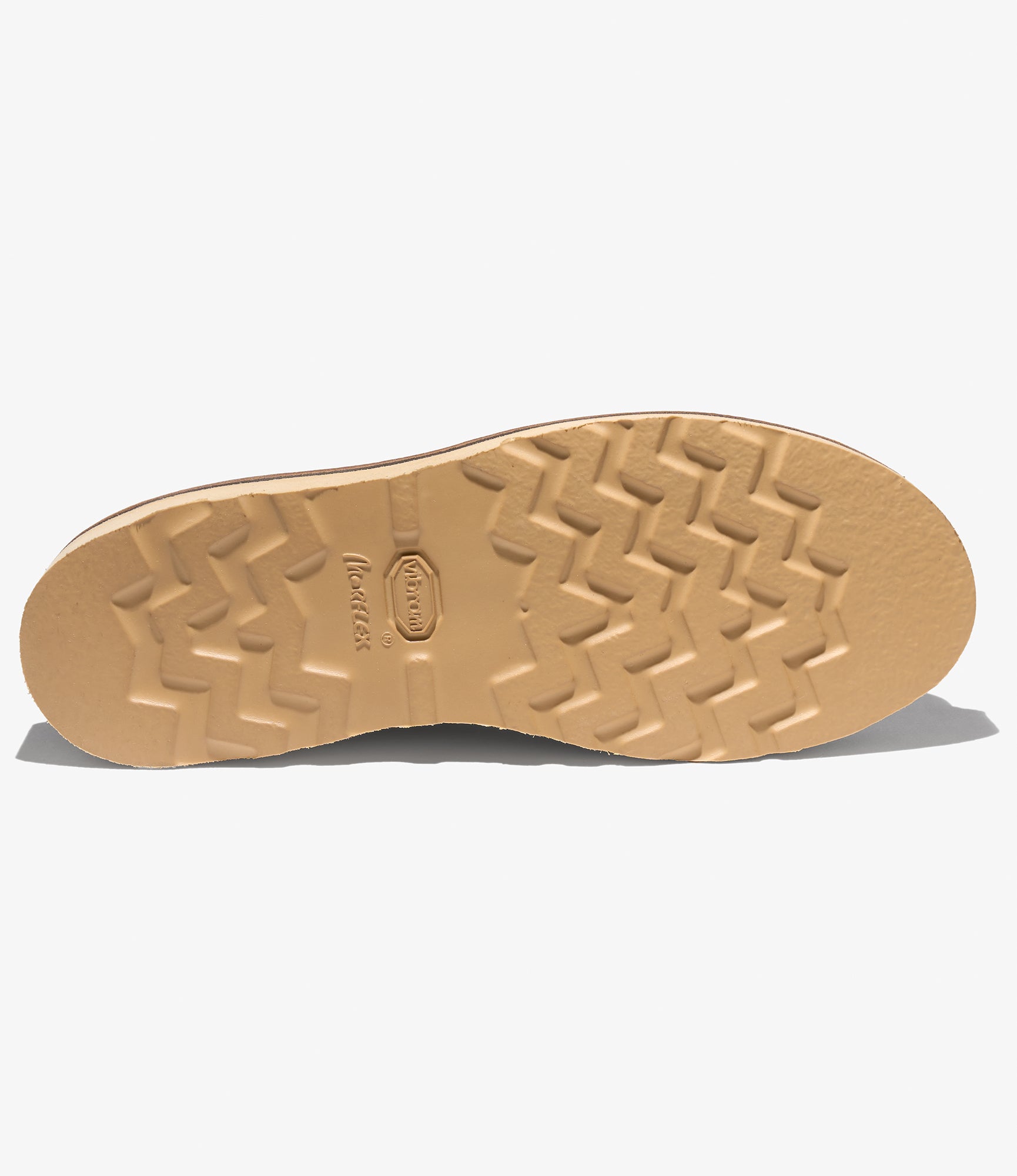 Nepenthes x Vernacolo - Canonau - Militere w/Natural Moreflex Sole