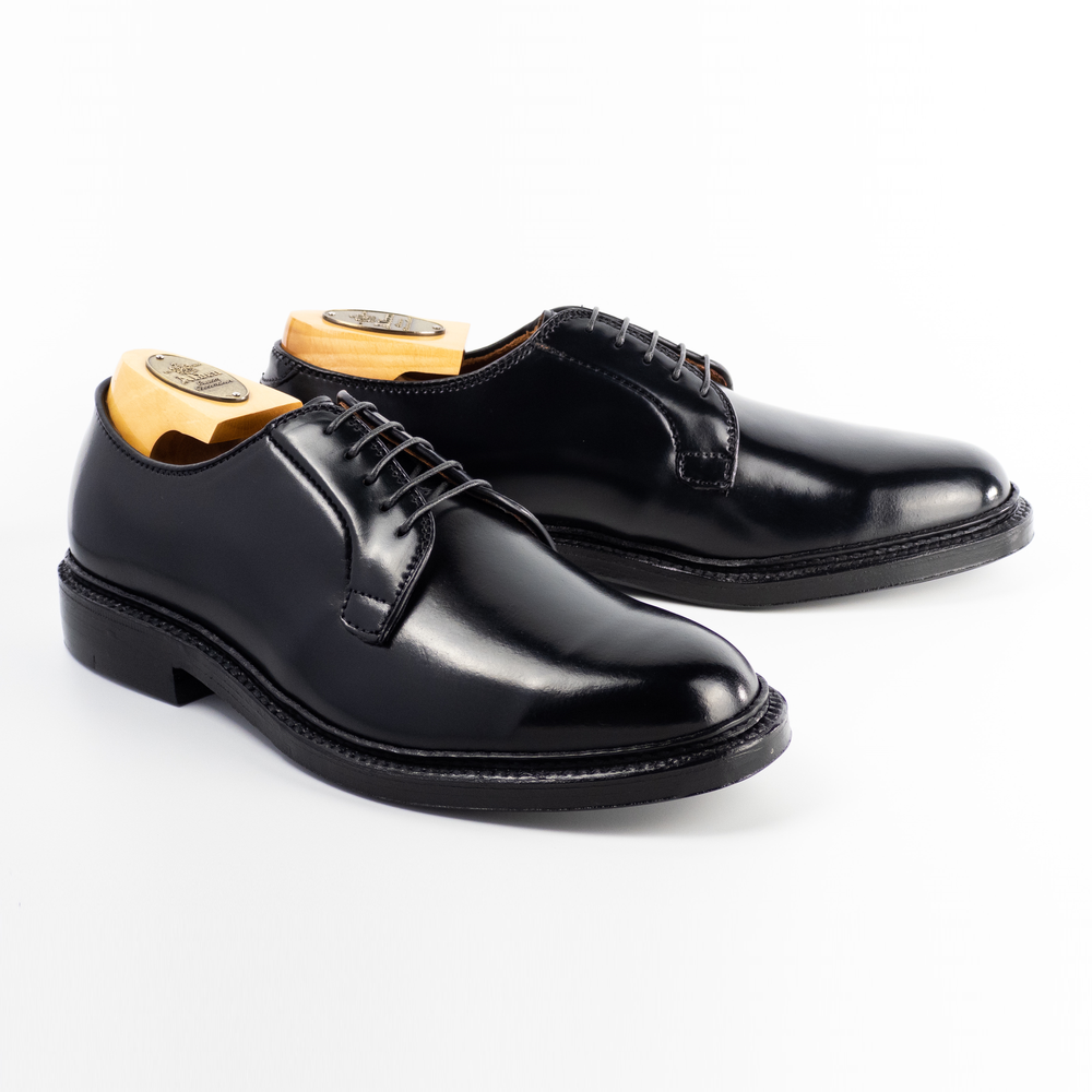 Alden | Nepenthes America | Nepenthes America