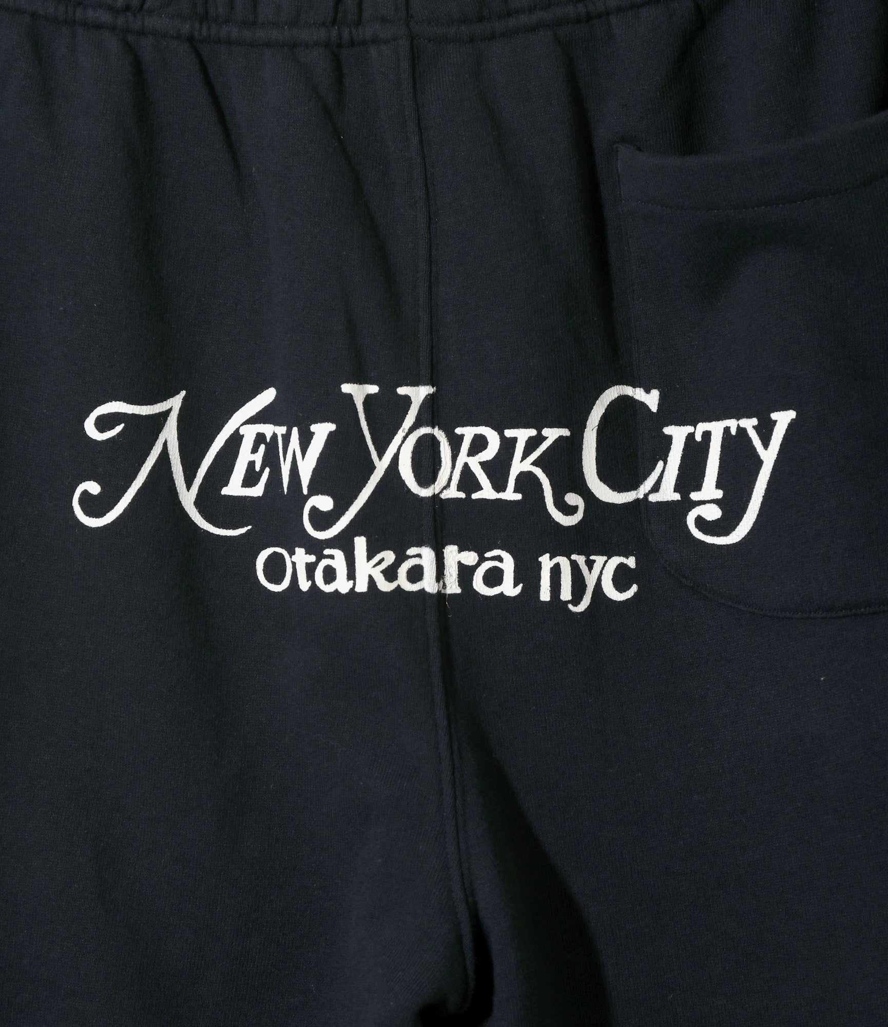 Printed Sweat Pant - Navy - NYC