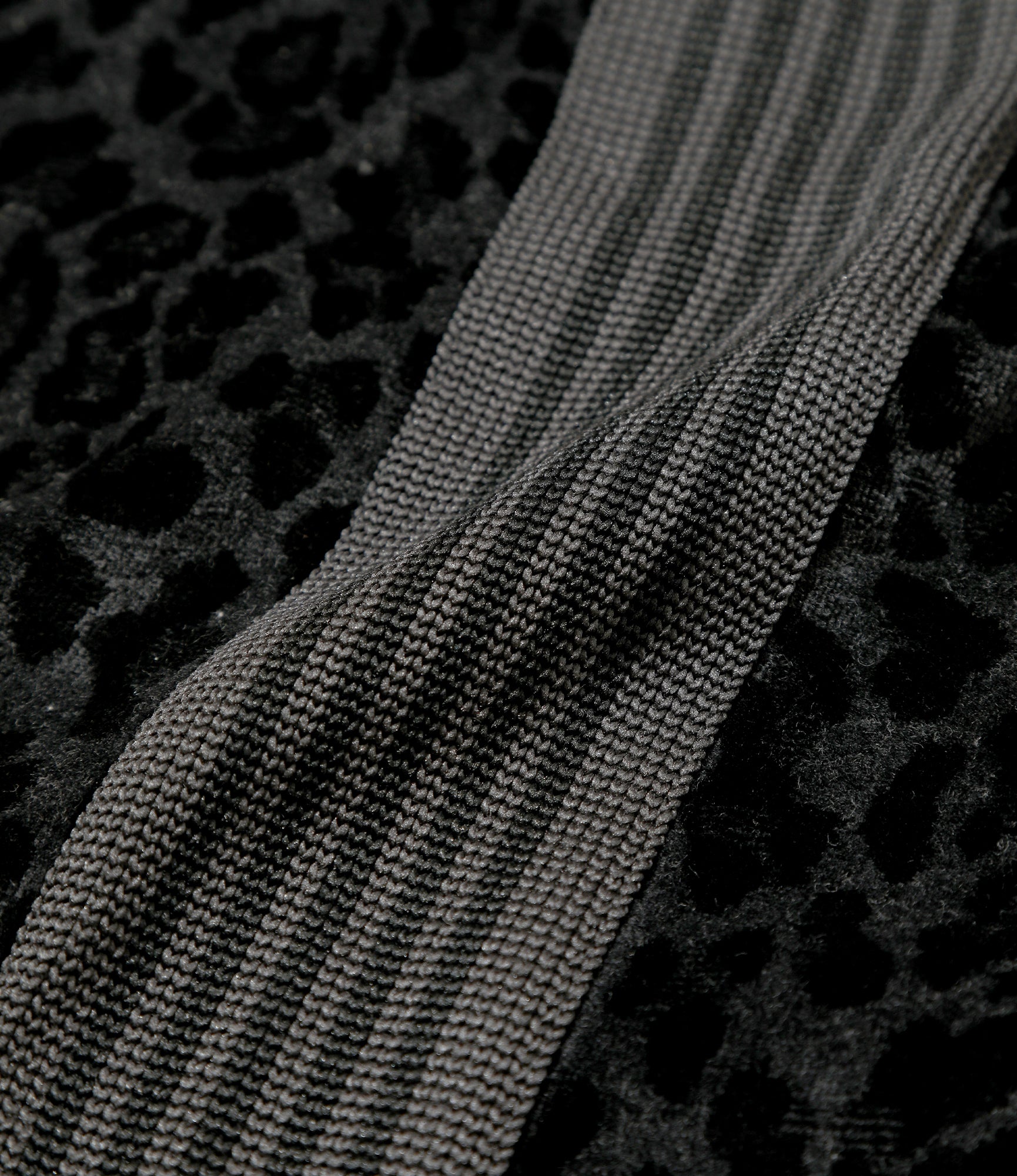 H.D. Track Pant - Black - Leopard Velour