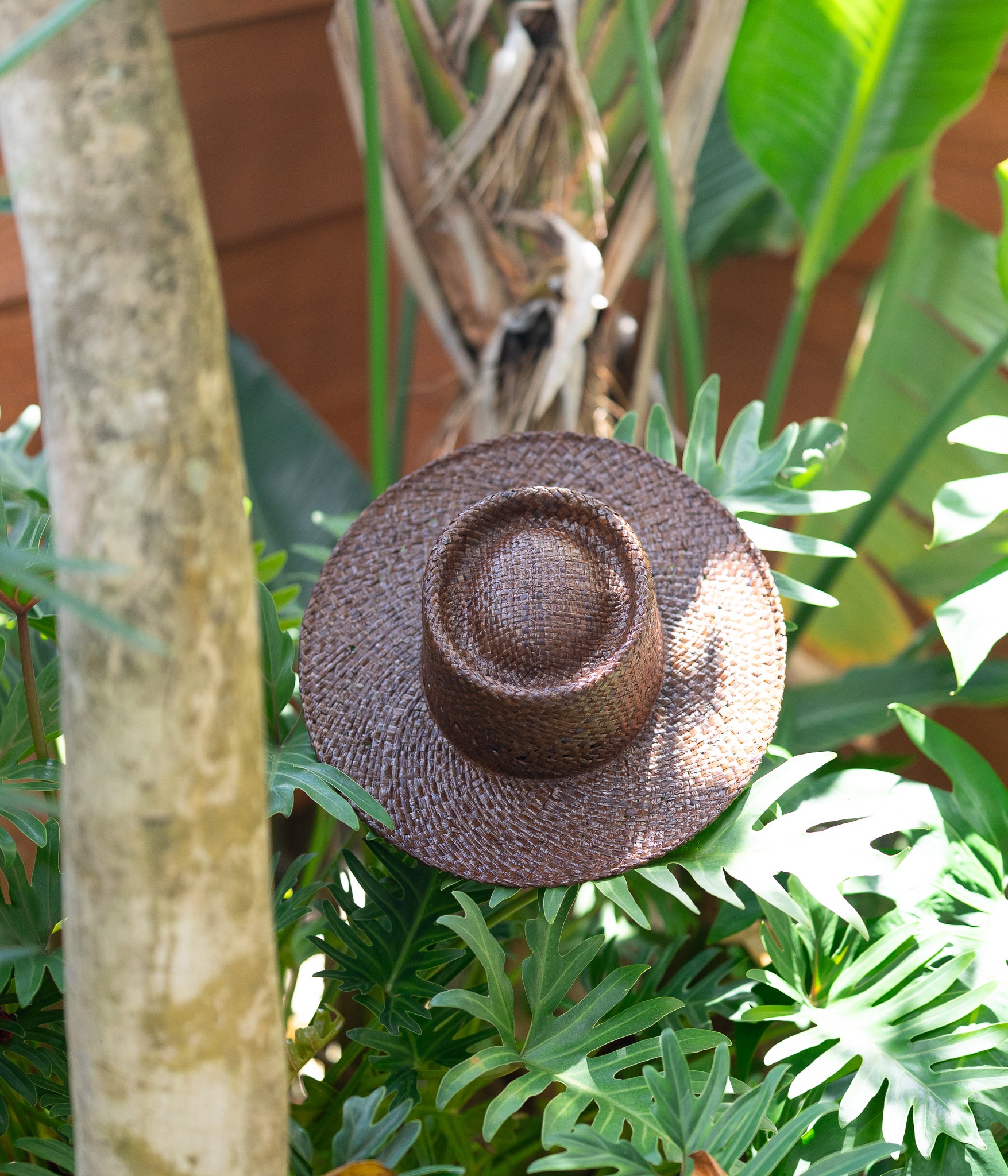 THE PORK PIE - Raffia - Brown