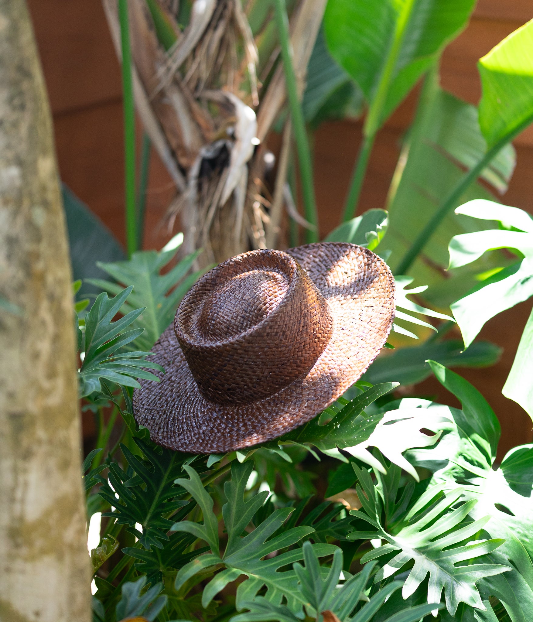 THE PORK PIE - Raffia - Brown