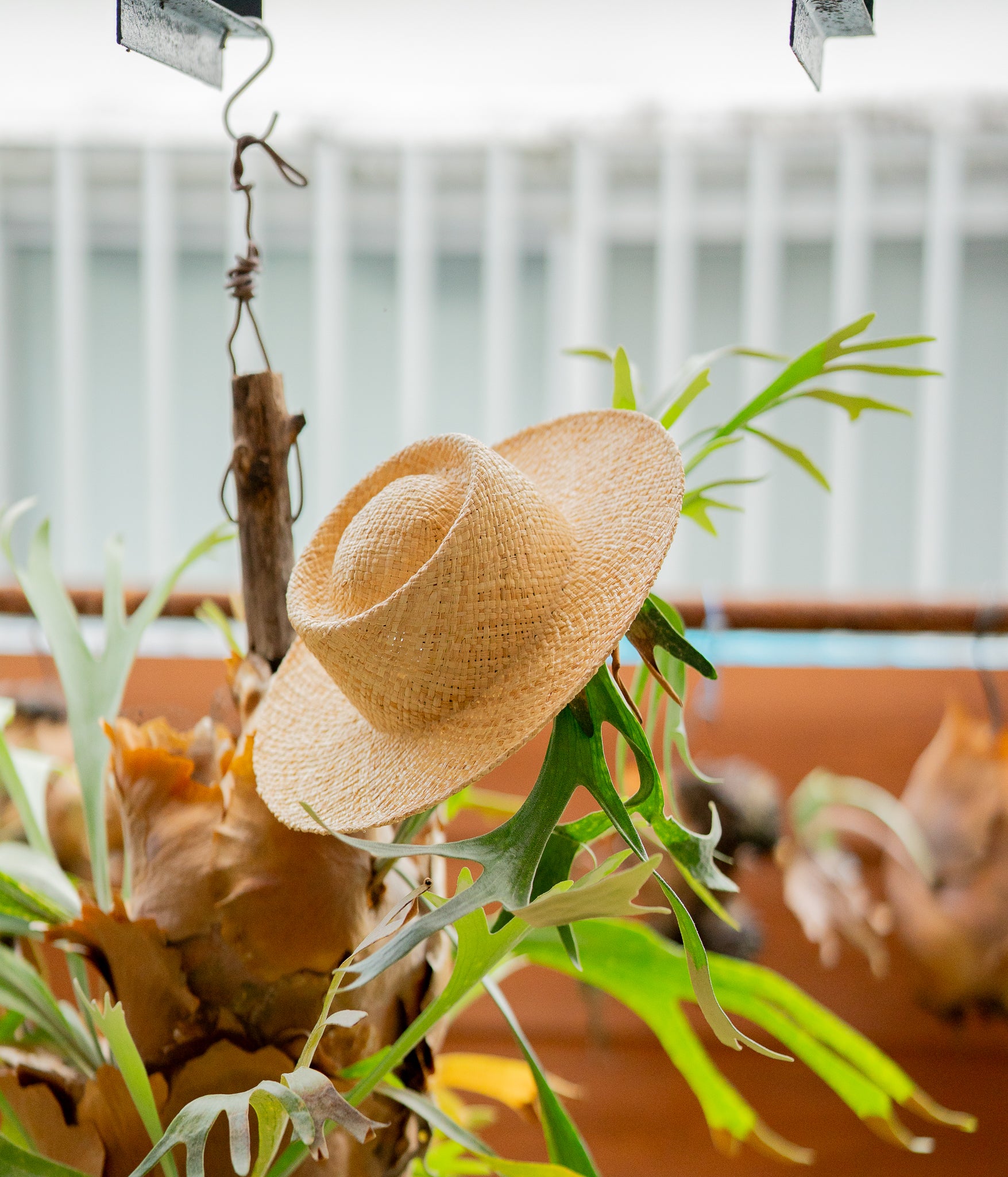 THE PORK PIE - Raffia - Natural