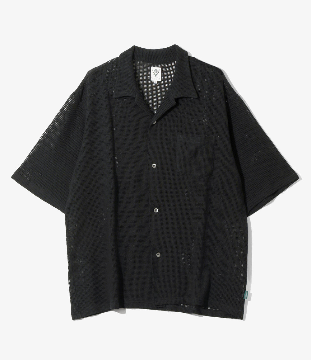 South2 West8 | Nepenthes America | Nepenthes America
