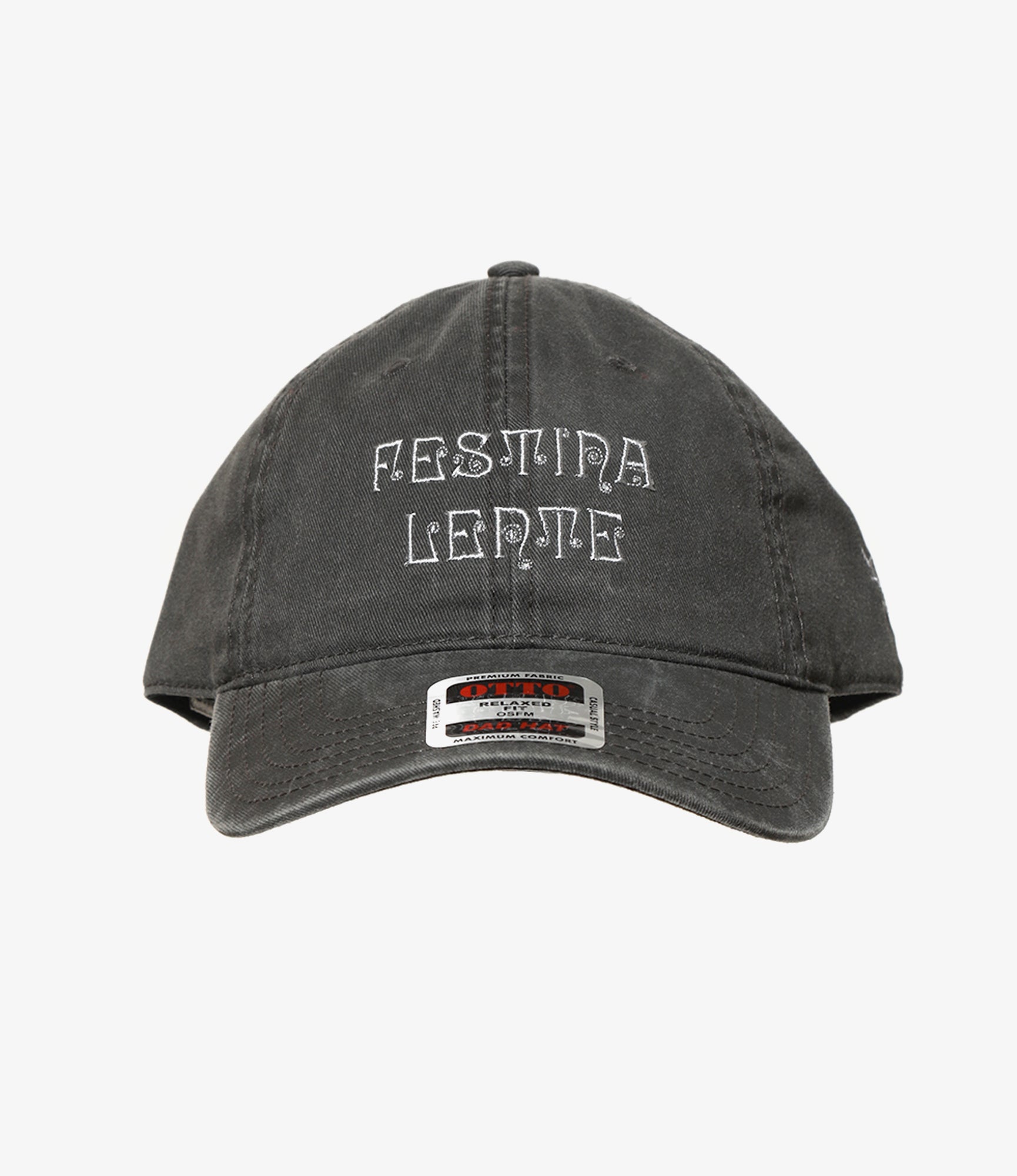 6 Panel Cap - Grey - FESTINA LENTE
