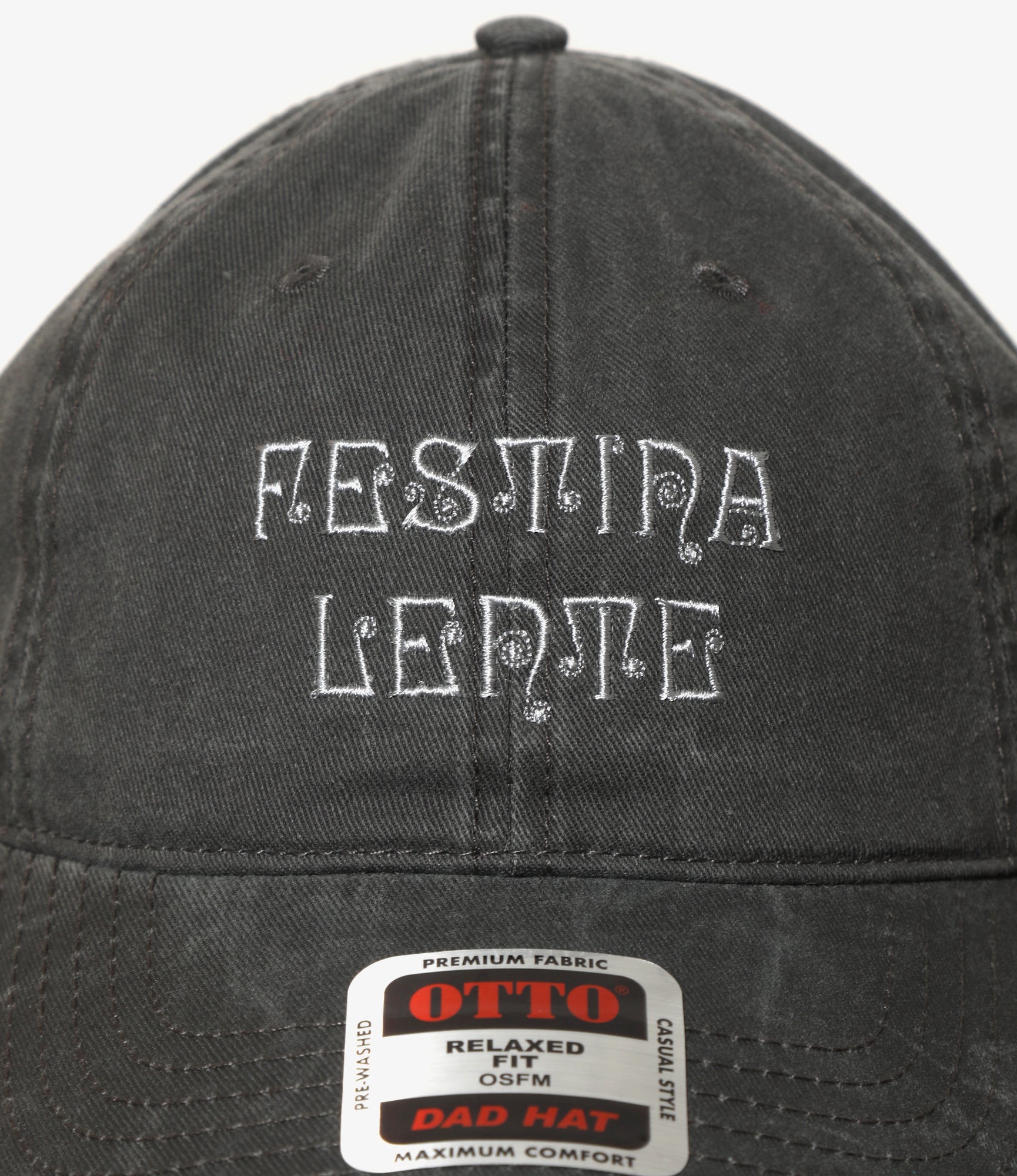 6 Panel Cap - Grey - FESTINA LENTE