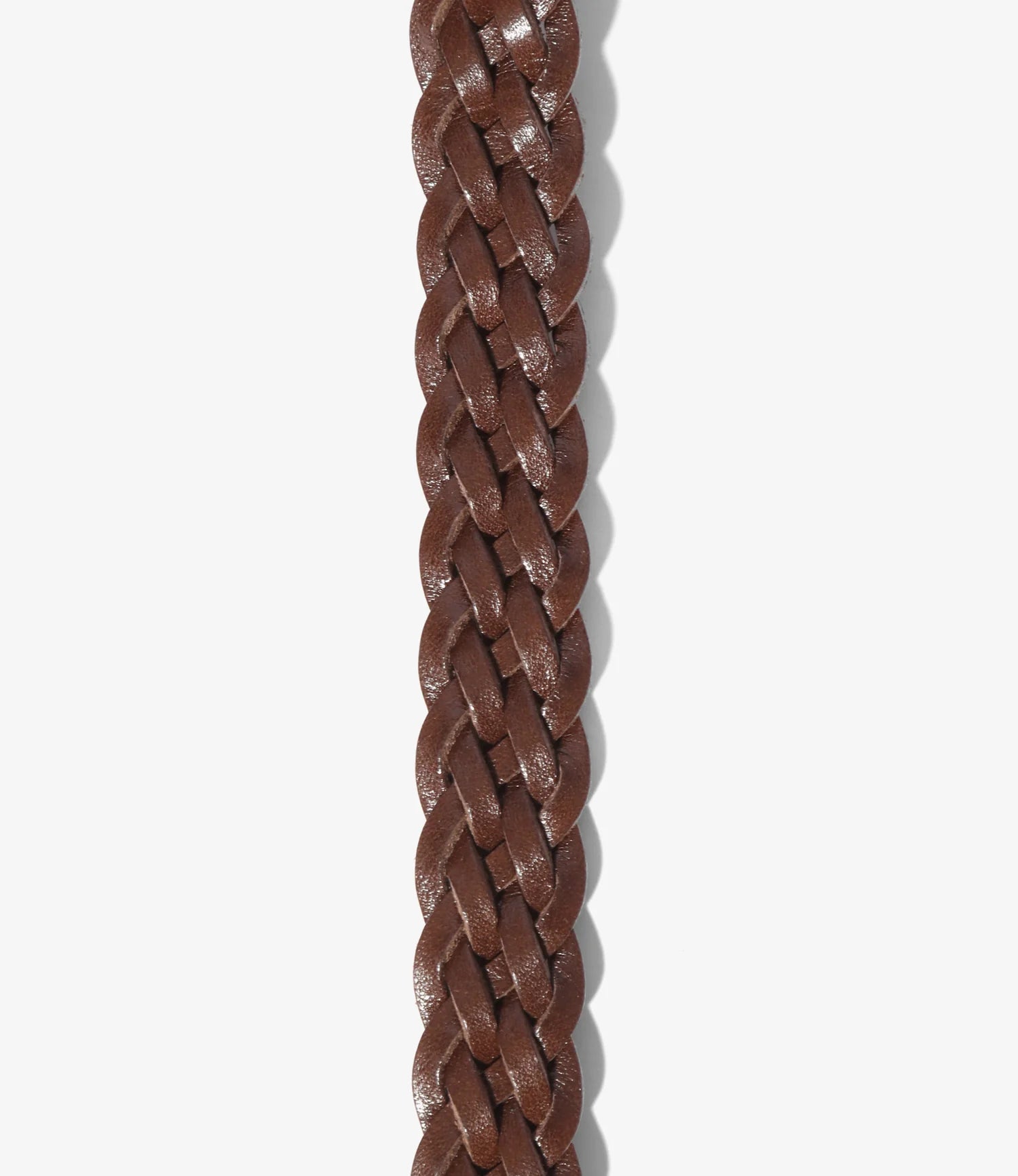 Wing Tip 5-Ply Belt 2 Loops - Regular - Brown